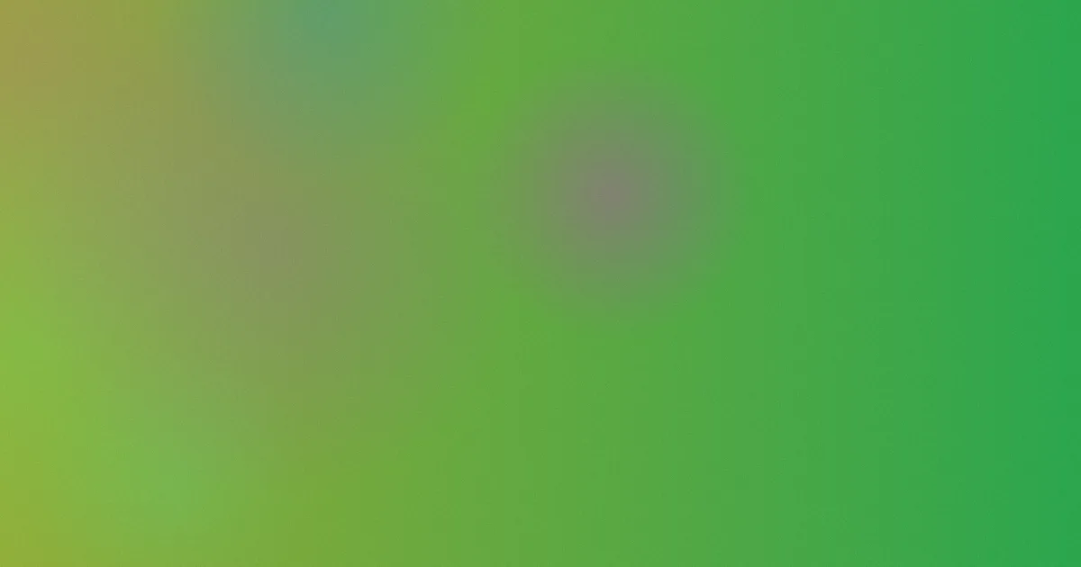 里梅攻略：先比再换不后悔